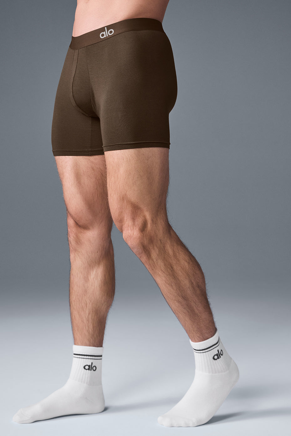 Day and Night Boxer - Espresso image 5