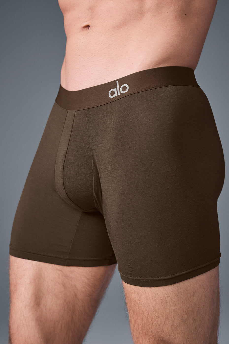 Day and Night Boxer - Espresso image 6