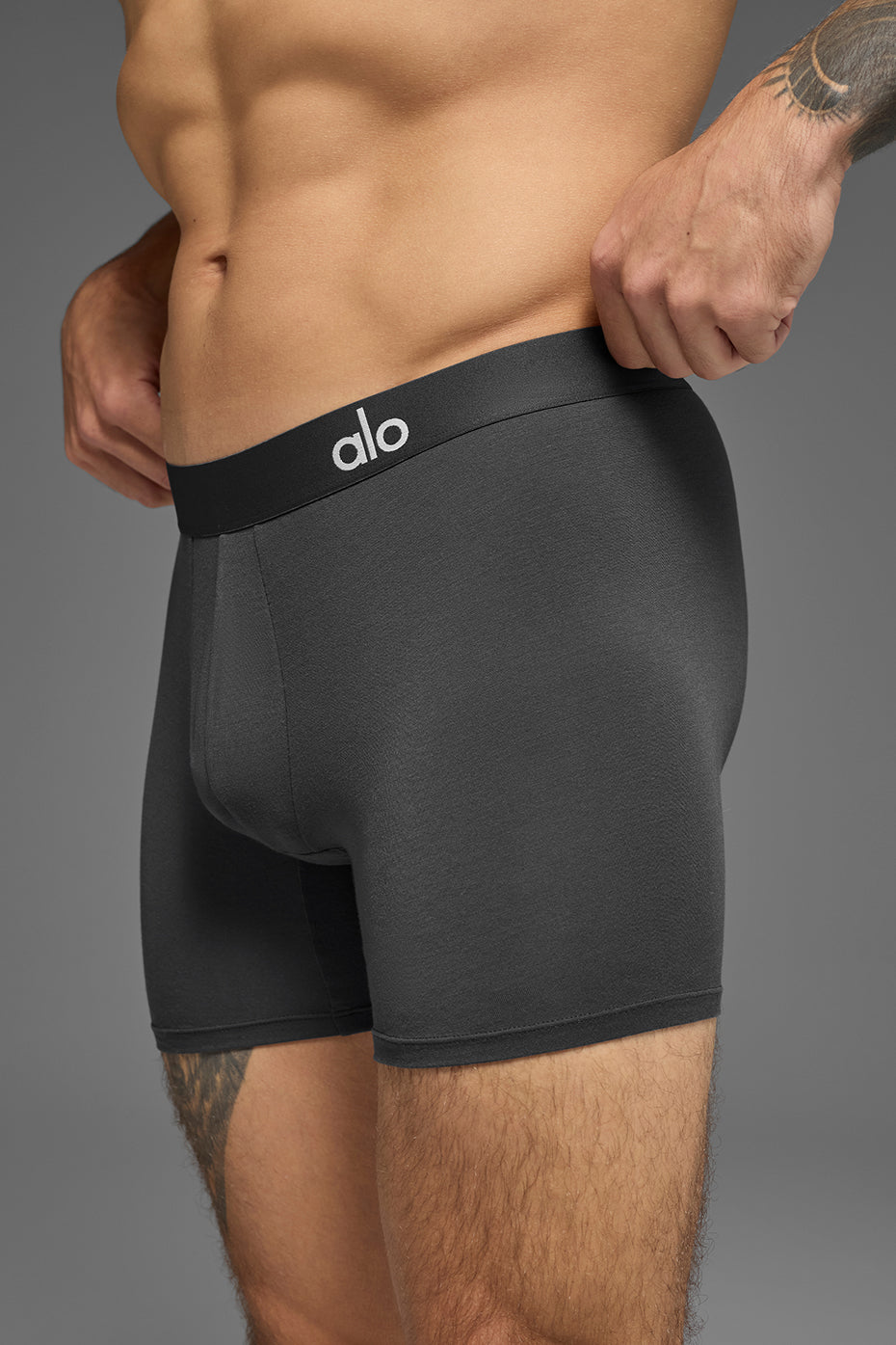 Day And Night Boxer Brief - Anthracite image 3