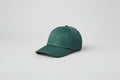 Satin Off-Duty Cap - Winter Ivy image 1