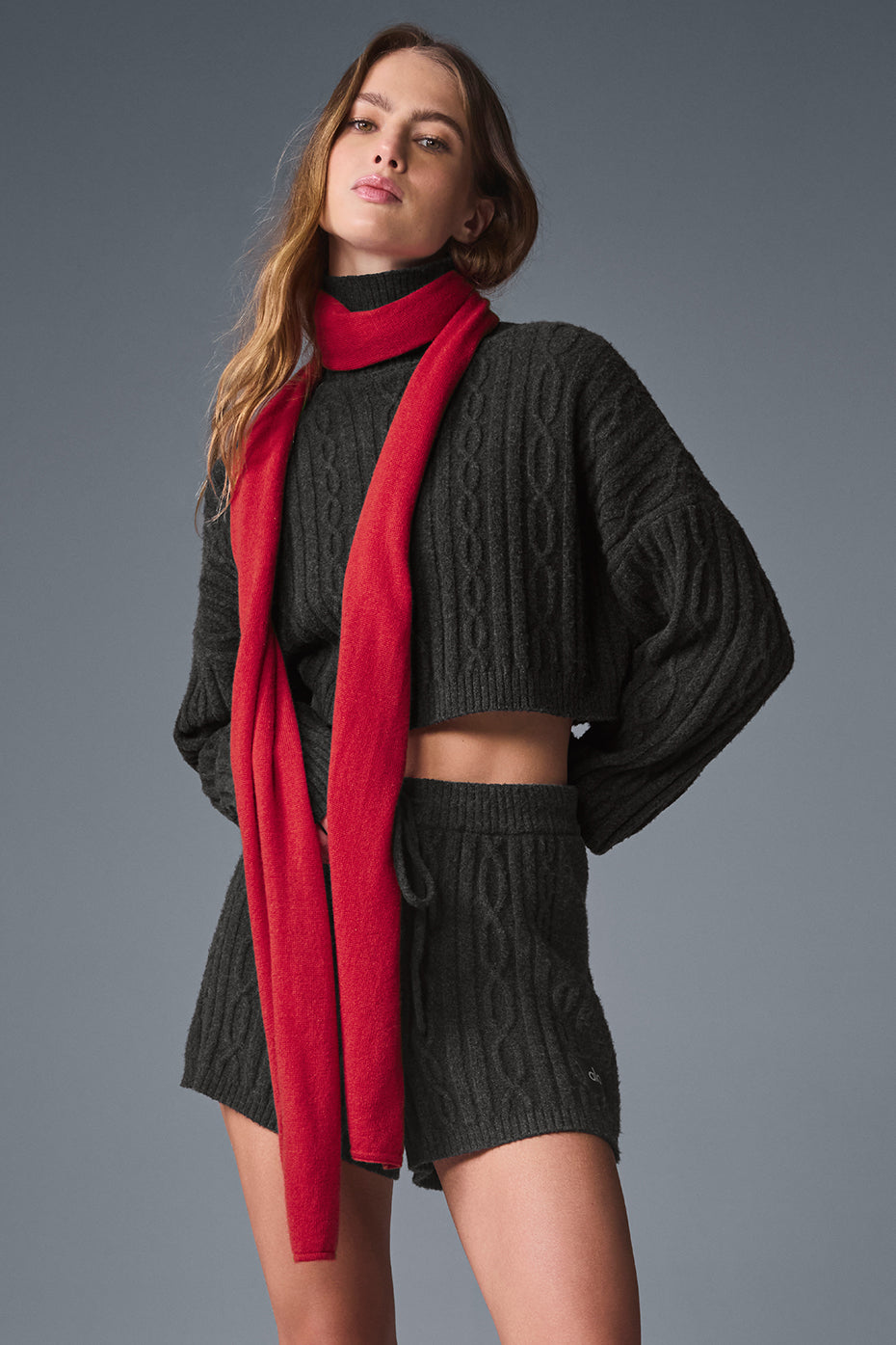 Cashmere Light Frosted Scarf - Red Ribbon image 1
