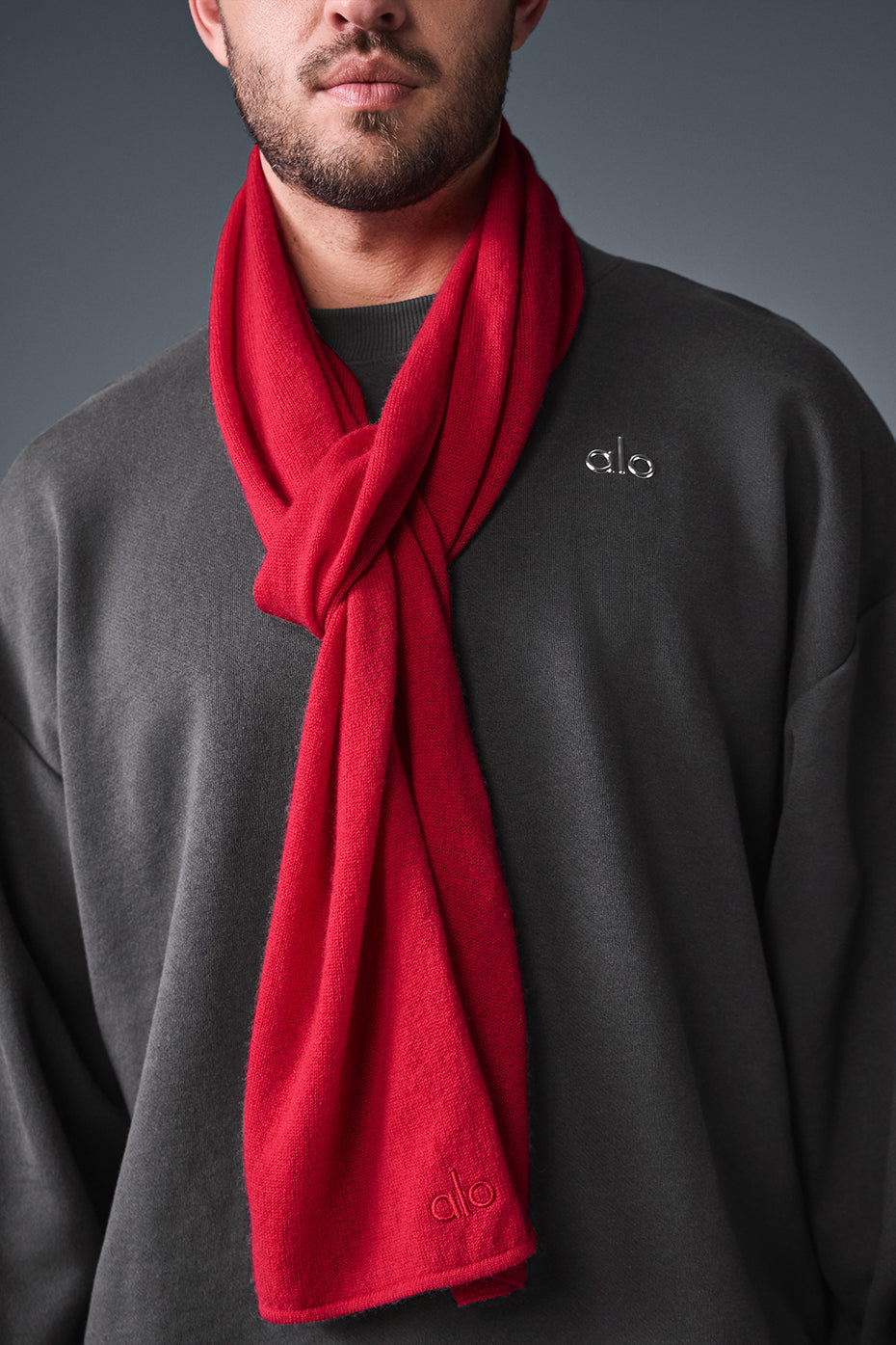 Cashmere Light Frosted Scarf - Red Ribbon image 3