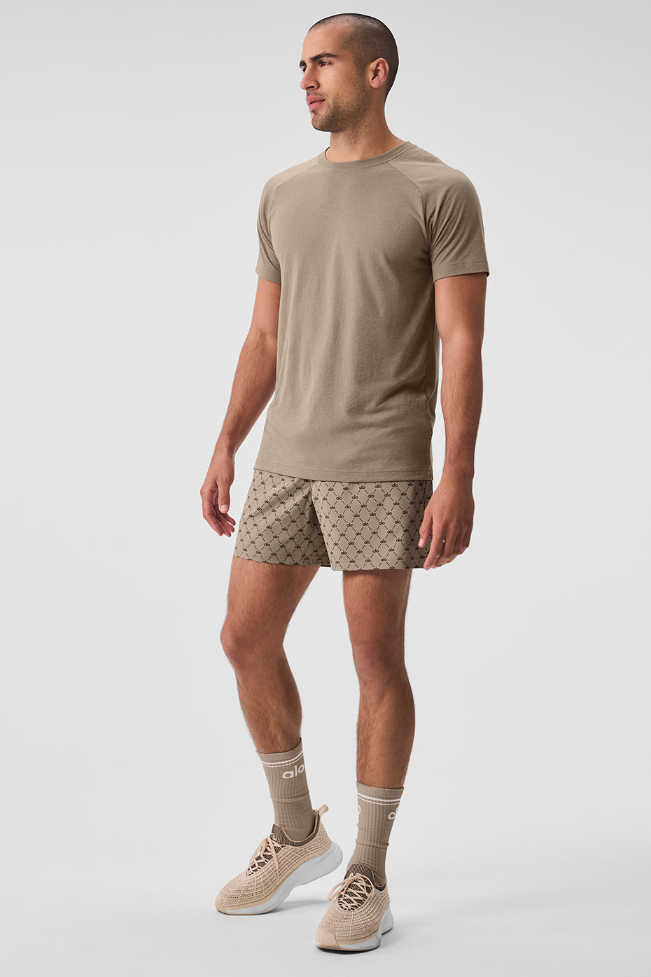 Triumph Raglan Tee - Gravel image 5