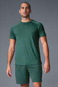 Triumph Raglan Tee - Winter Ivy image 1