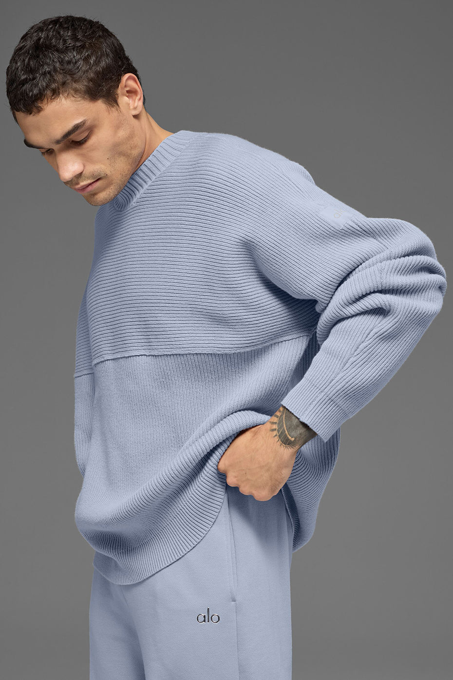 Domain Shift Rib Knit Sweater Crew - Winter Frost image 3
