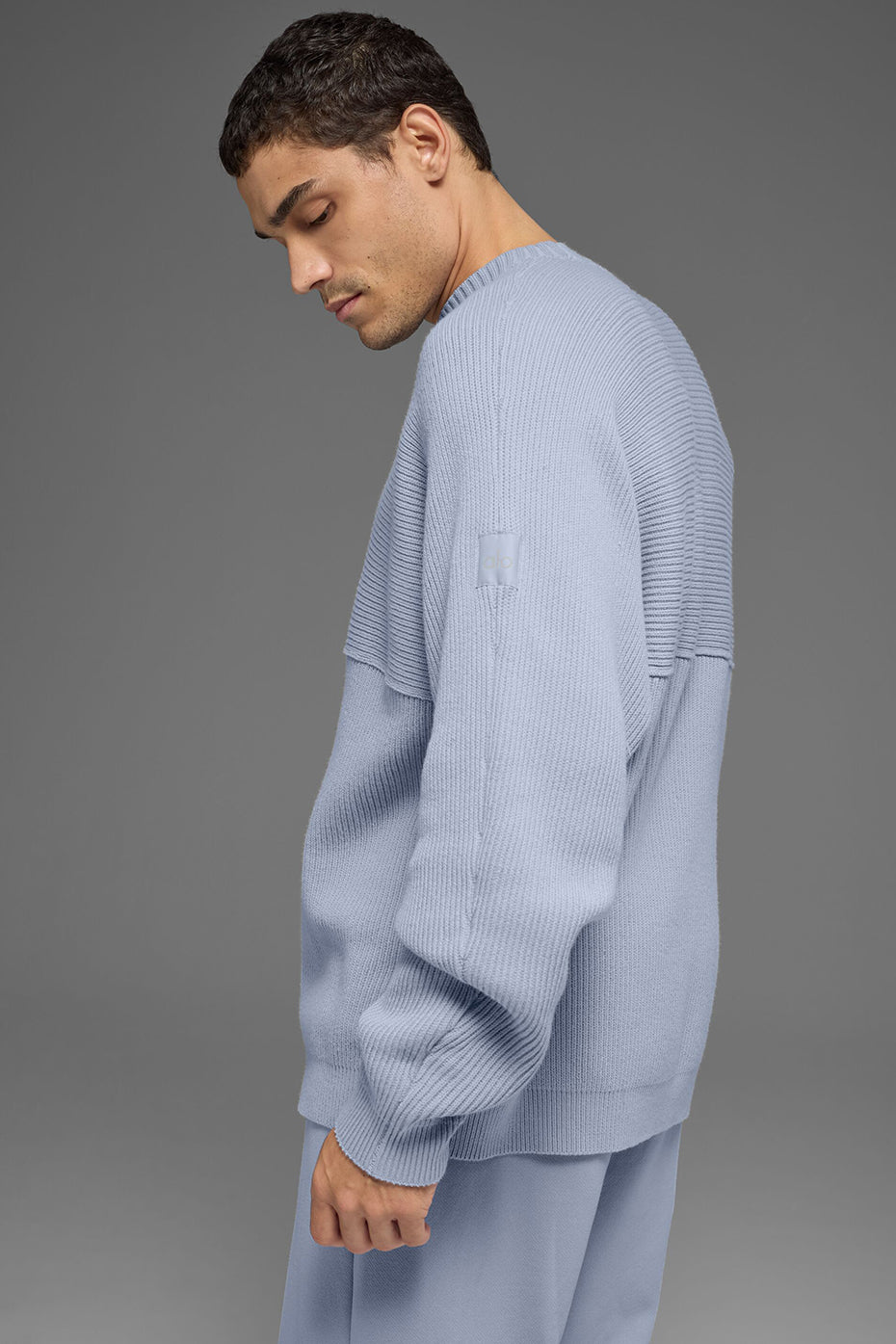Domain Shift Rib Knit Sweater Crew - Winter Frost image 4