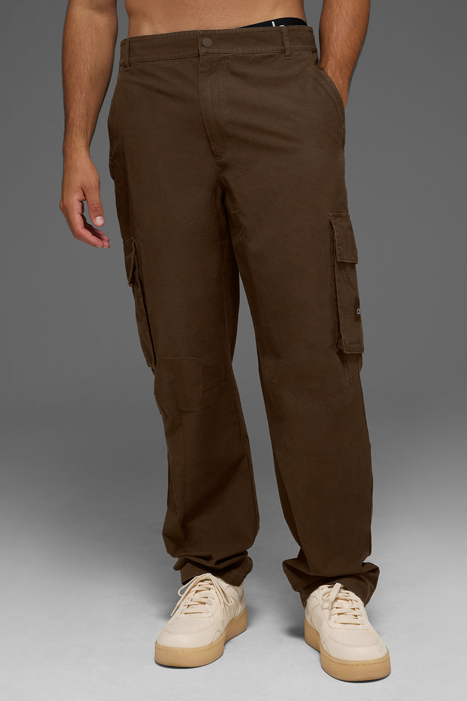 Cargo Ripstop Trouser - Espresso image 1