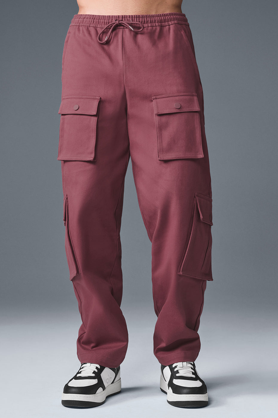 Northstar Cargo Pant - Burgundy Truffle image 1