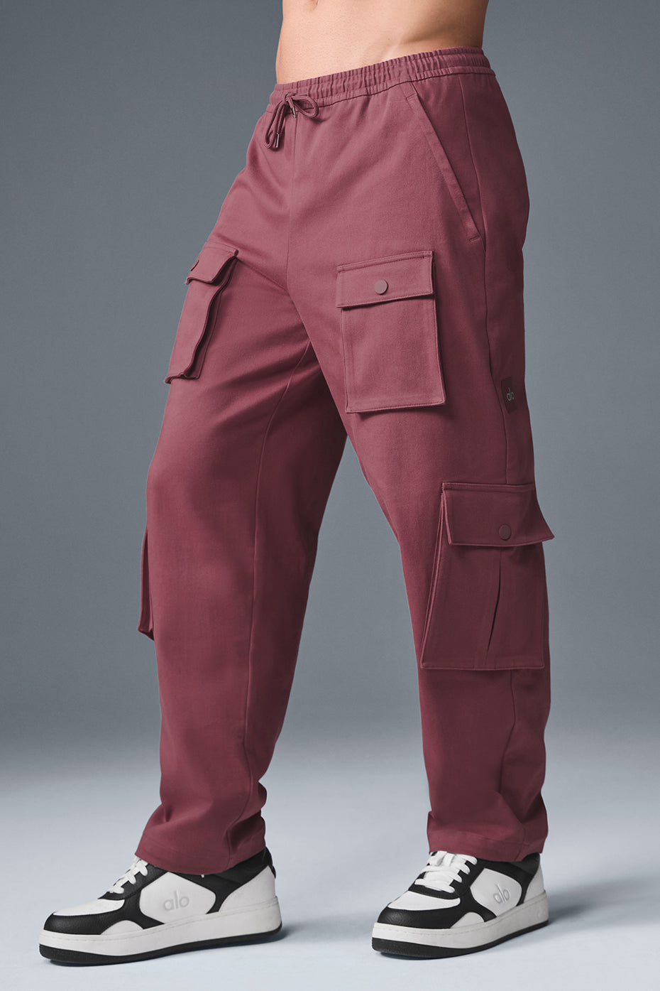 Northstar Cargo Pant - Burgundy Truffle image 3