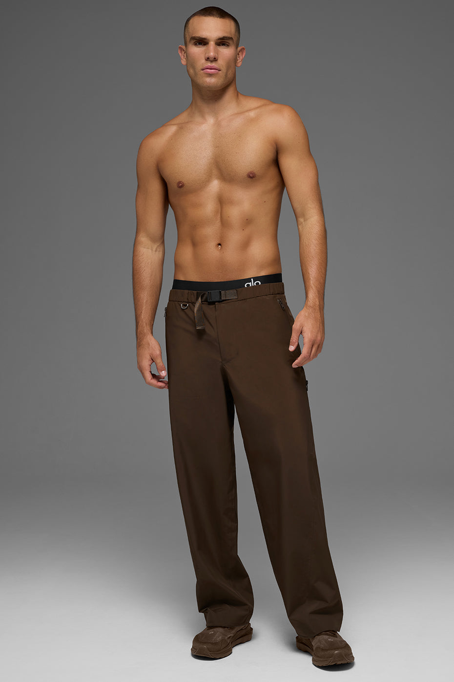 Alpha Shell Pant - Espresso image 4