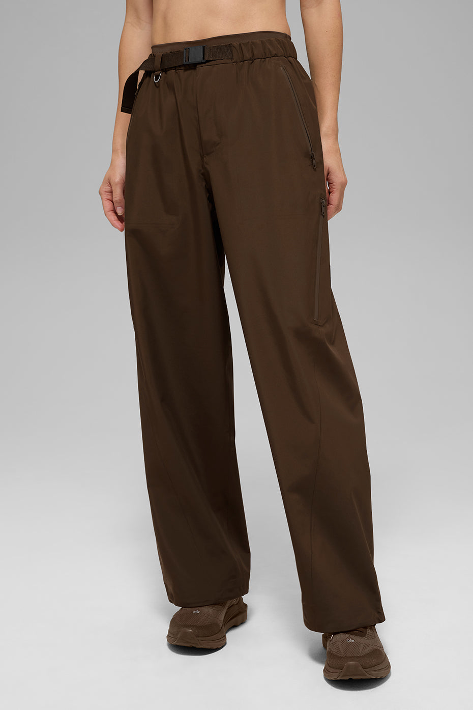 Alpha Shell Pant - Espresso image 1