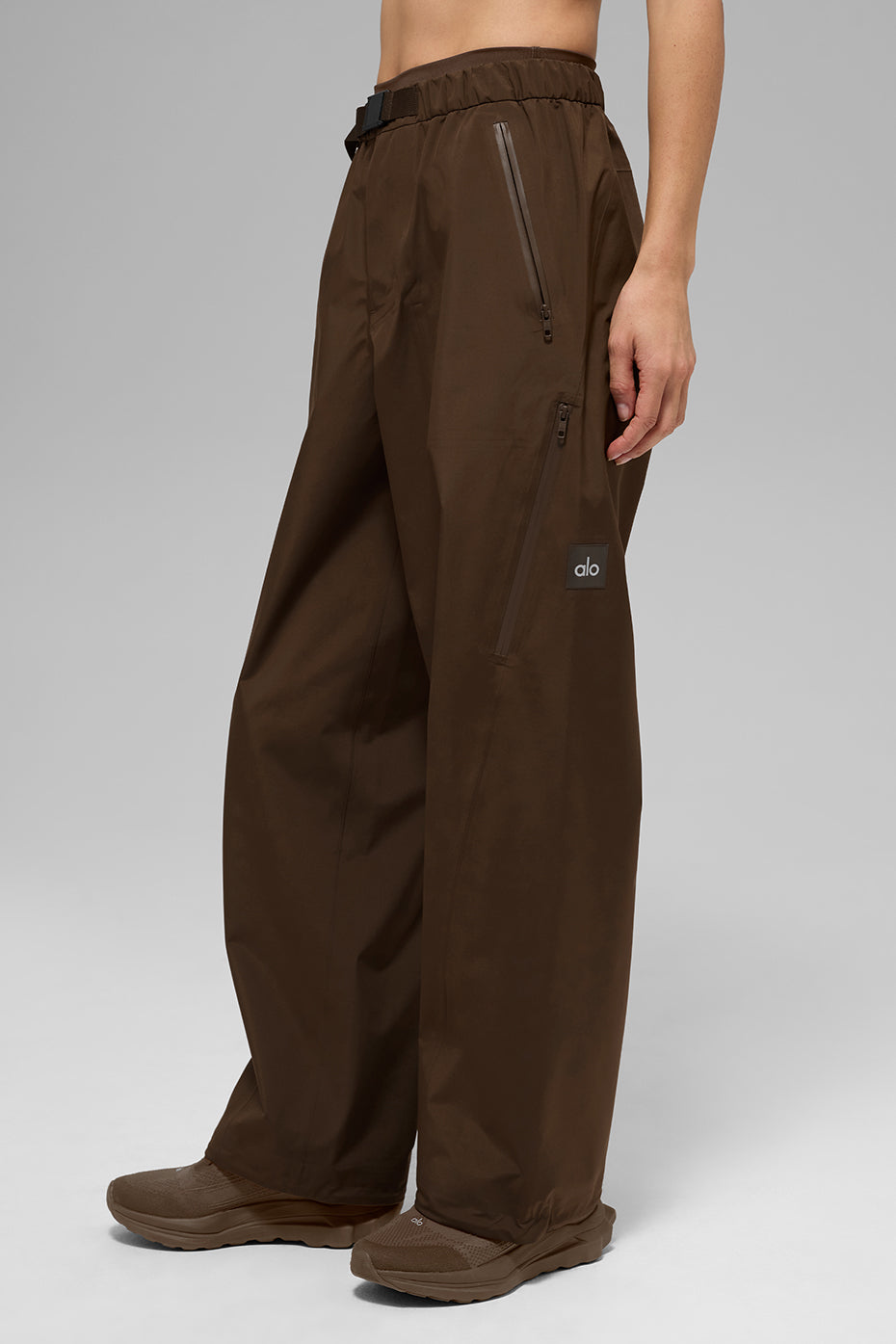 Alpha Shell Pant - Espresso image 4