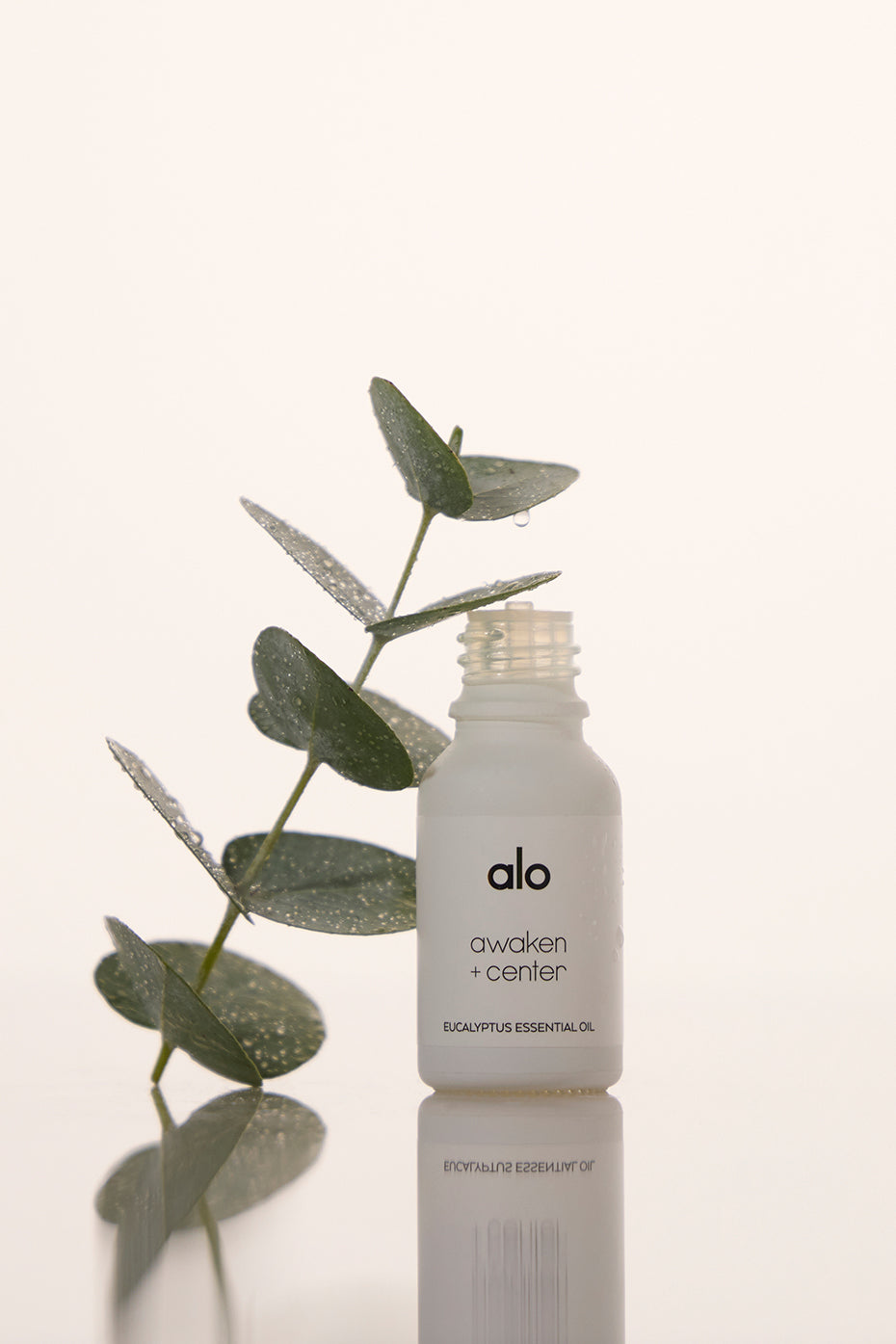 Awaken & Center Essential Oil (Eucalyptus) image 1