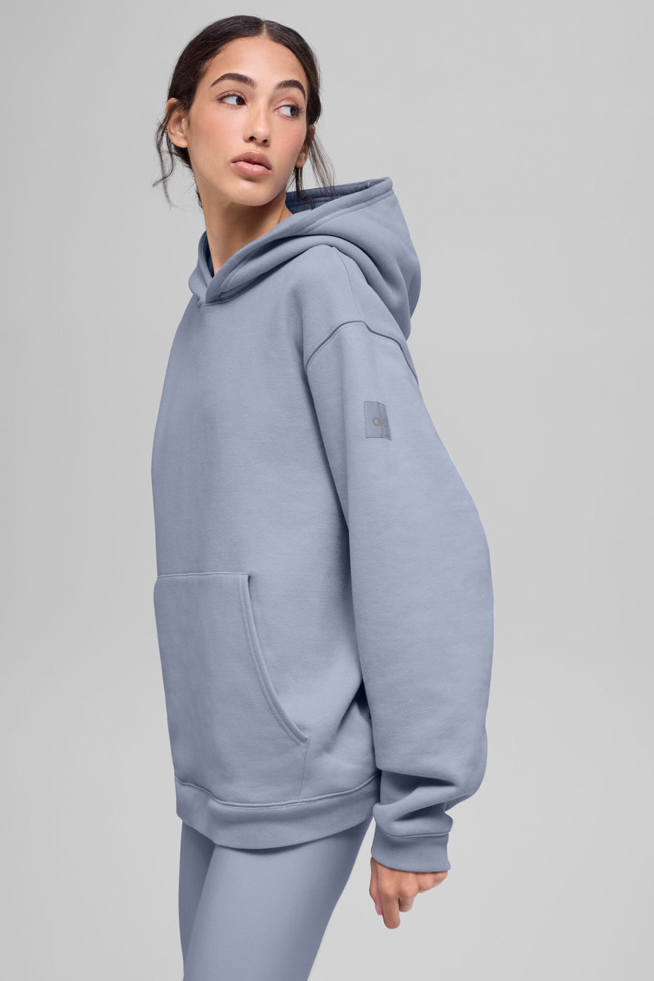 Renown Heavy Weight Hoodie - Winter Frost image 3