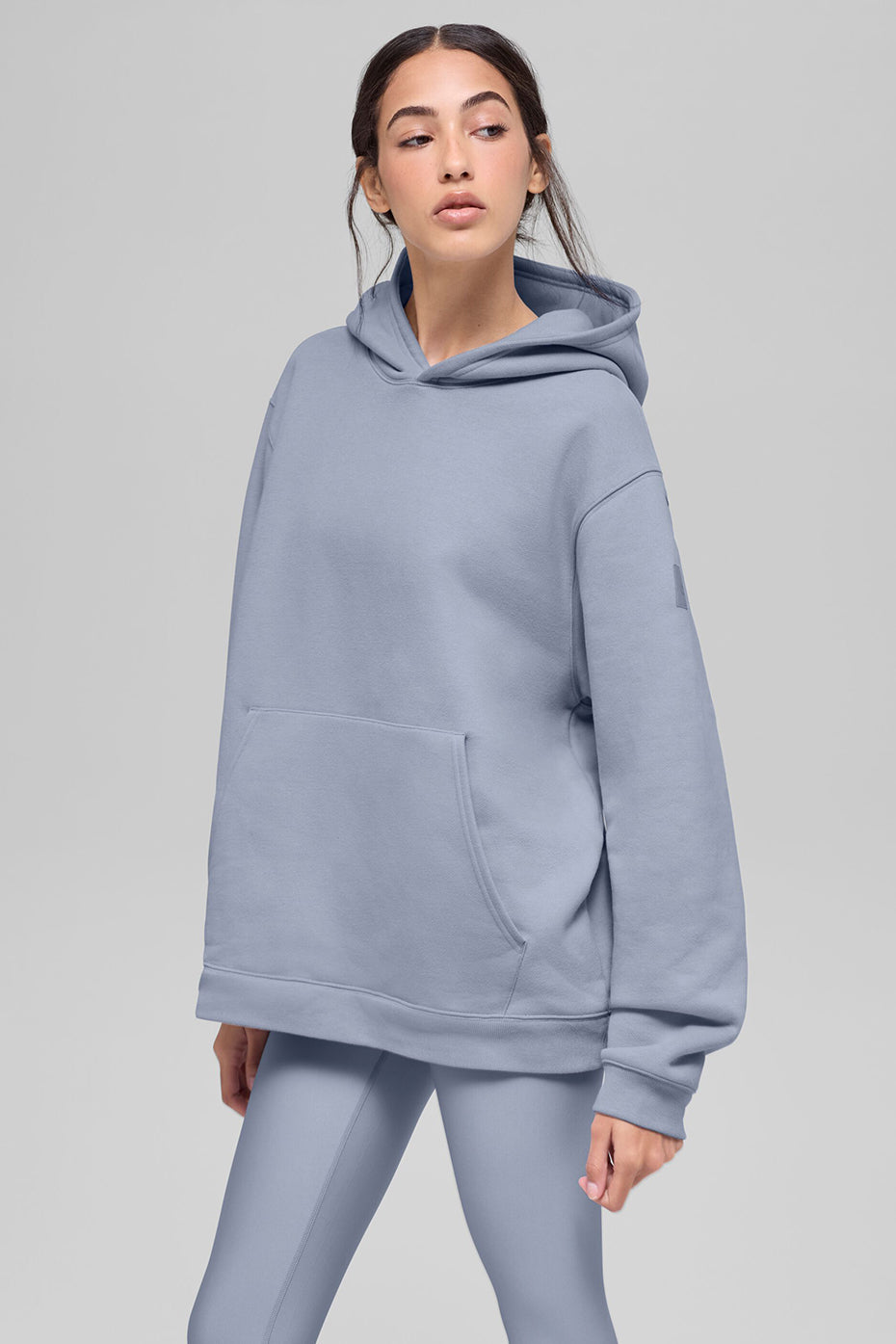 Renown Heavy Weight Hoodie - Winter Frost image 1