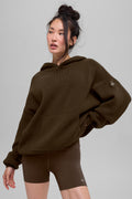 Scholar Hooded Sweater - Espresso image 1