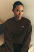 Accolade Crew Neck Pullover - Espresso image 1