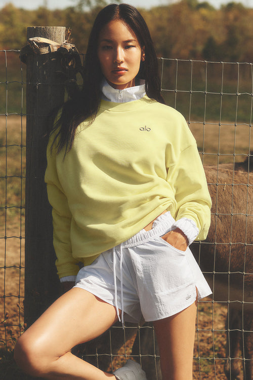 Accolade Crew Neck Pullover - Sunshine image 1