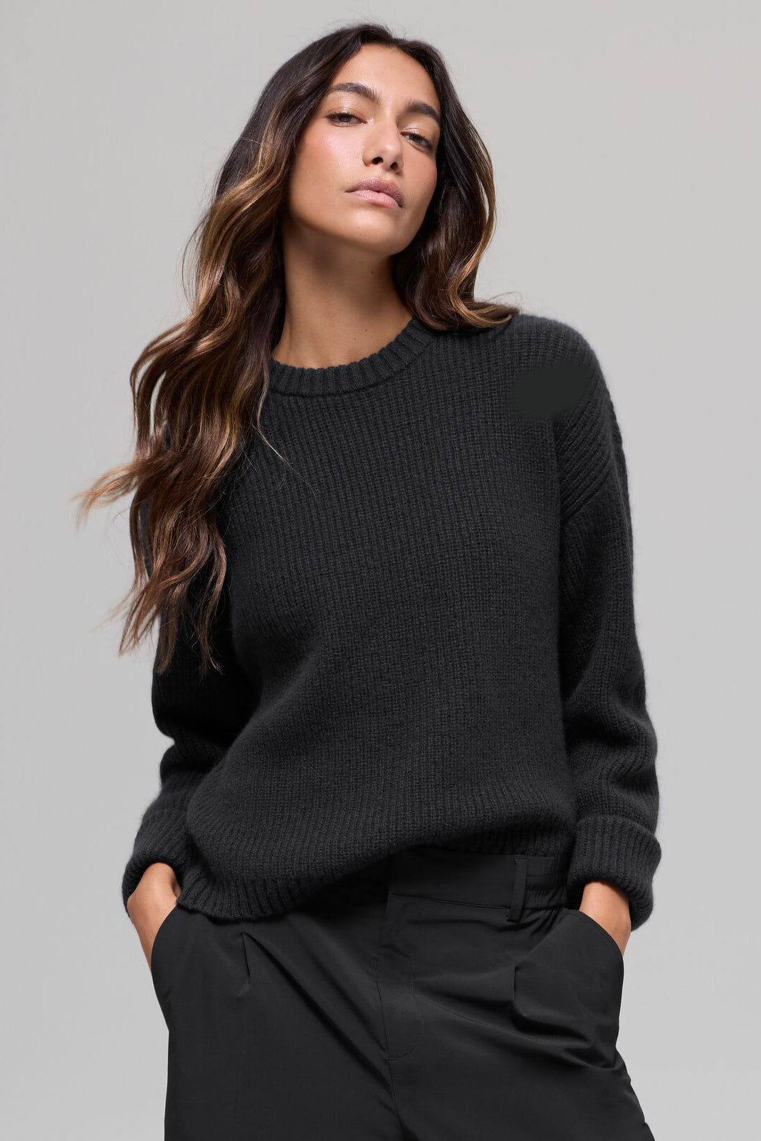 Wool Cashmere Ribbed Noble Crewneck Sweater - Black image 1