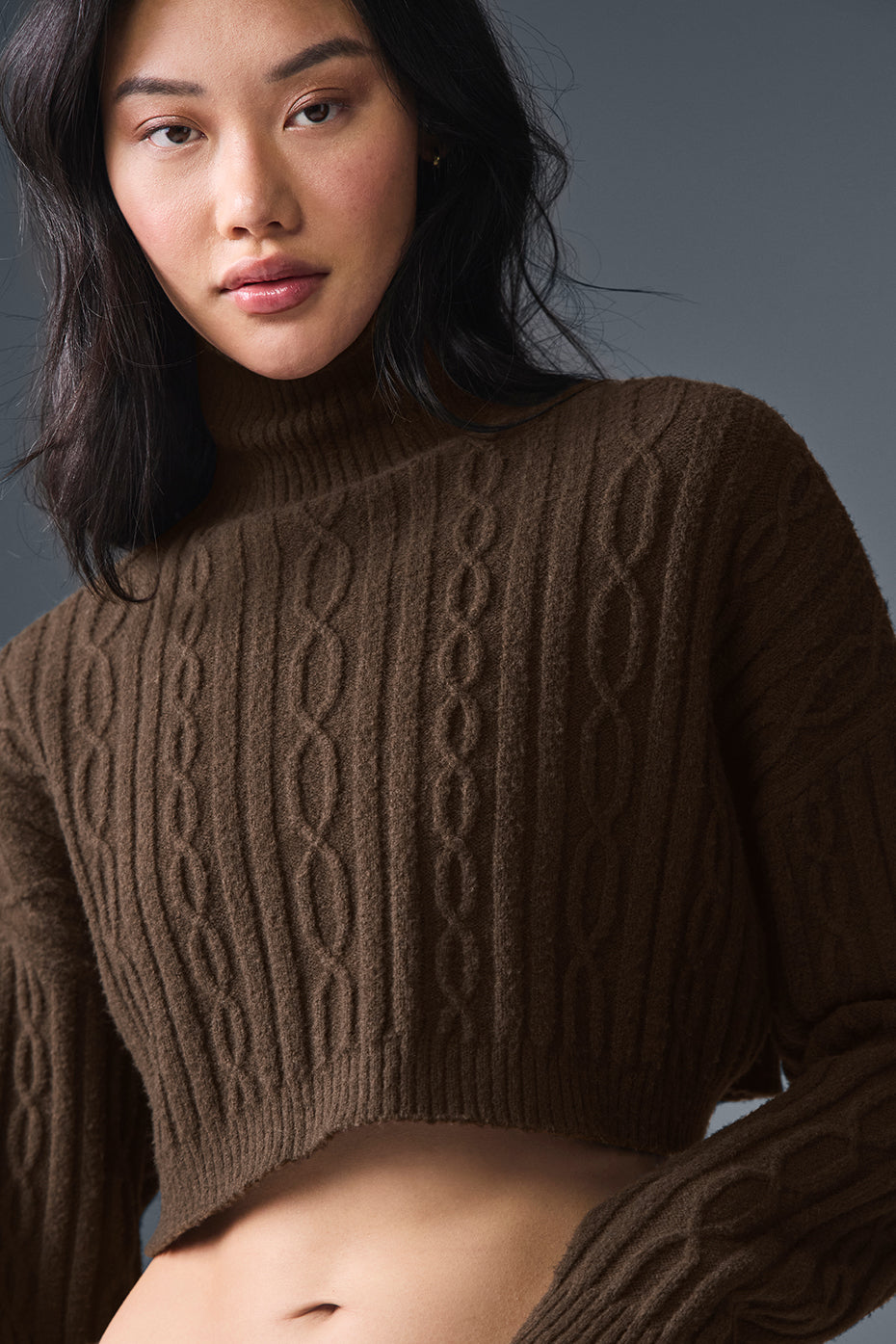 Cable Knit Cropped Winter Bliss Turtleneck Long Sleeve - Espresso image 4